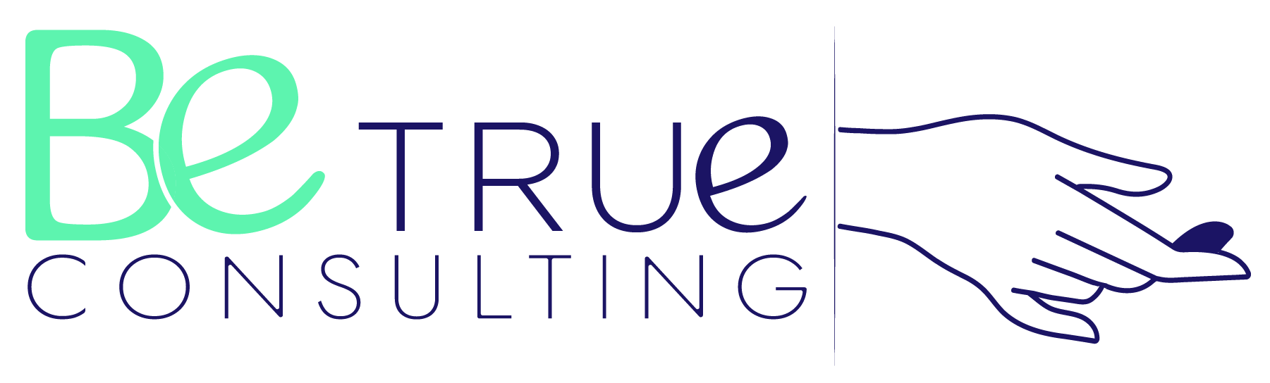 LOGO BANDEAU BLEU logo Be True Consulting bleu